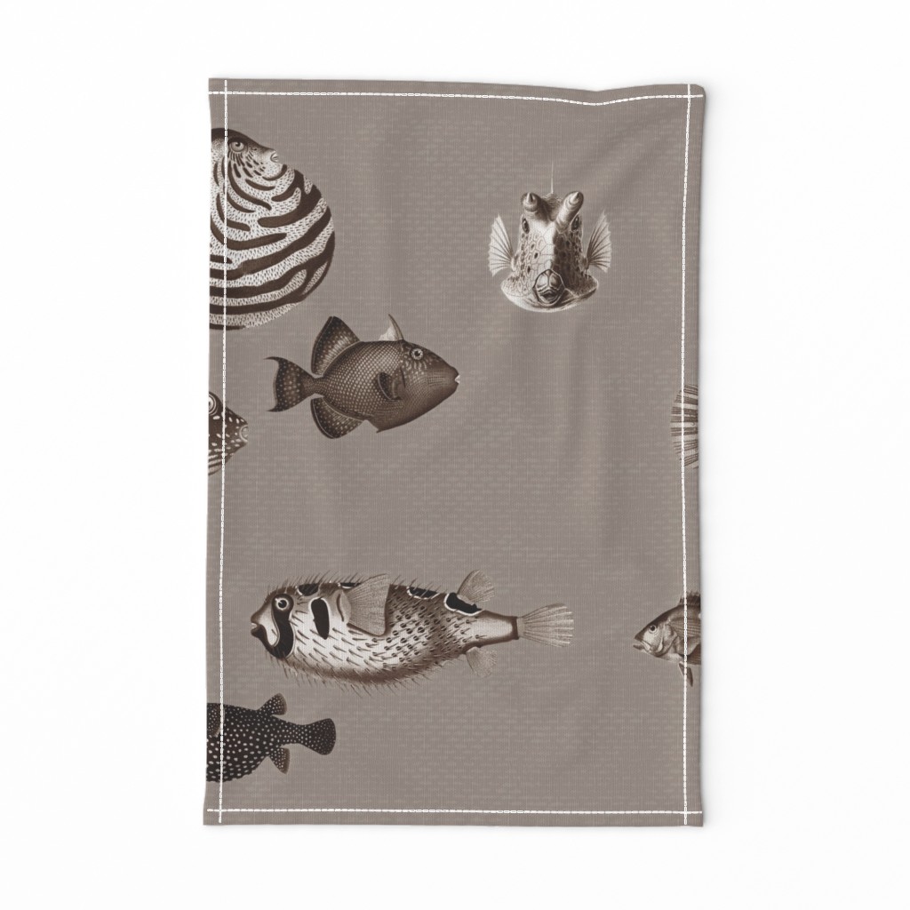 Acquario Fish taupe beige cream black dark chocolate neutral 