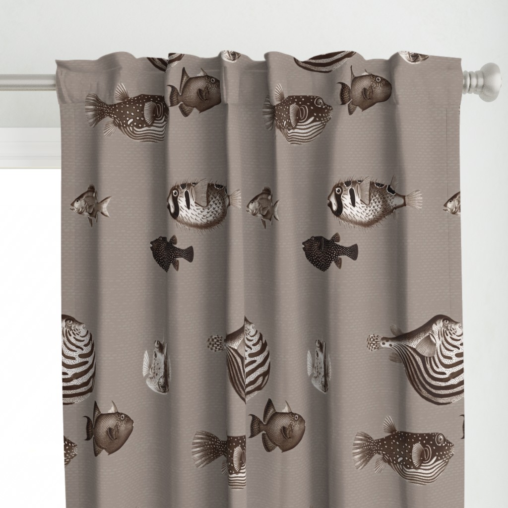 Acquario Fish taupe beige cream black dark chocolate neutral 