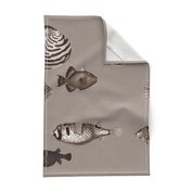 Acquario Fish taupe beige cream black dark chocolate neutral 