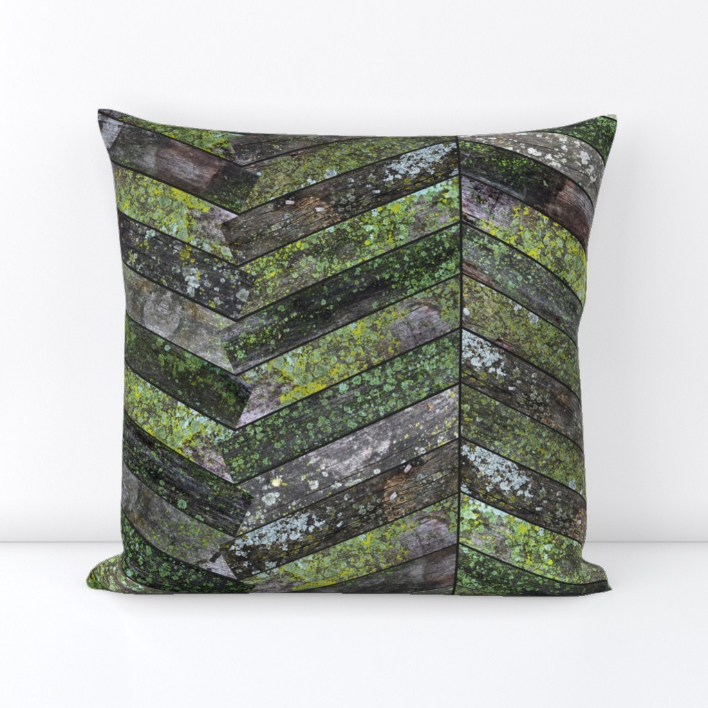 Mossy Weathered Wood in Chevron 