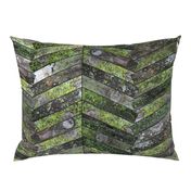 Mossy Weathered Wood in Chevron 