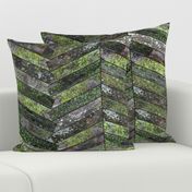 Mossy Weathered Wood in Chevron 