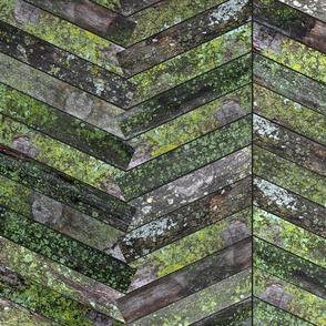 Mossy Weathered Wood in Chevron 