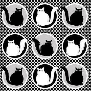 Cats in Circles, Kind of