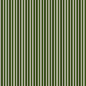 Candy Stripe_Green and grey by Paducaru