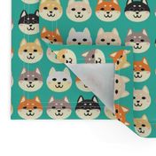 shiba inu faces 