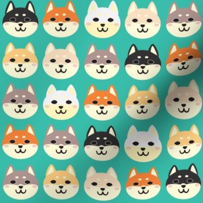 shiba inu faces 