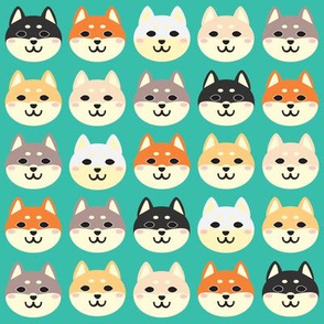 shiba inu faces 