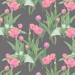 Tulips grey