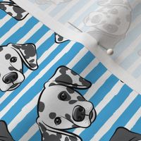 Dalmatians - blue stripes - LAD19