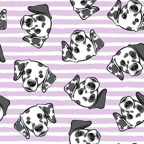 Dalmatians - purple stripes - LAD19
