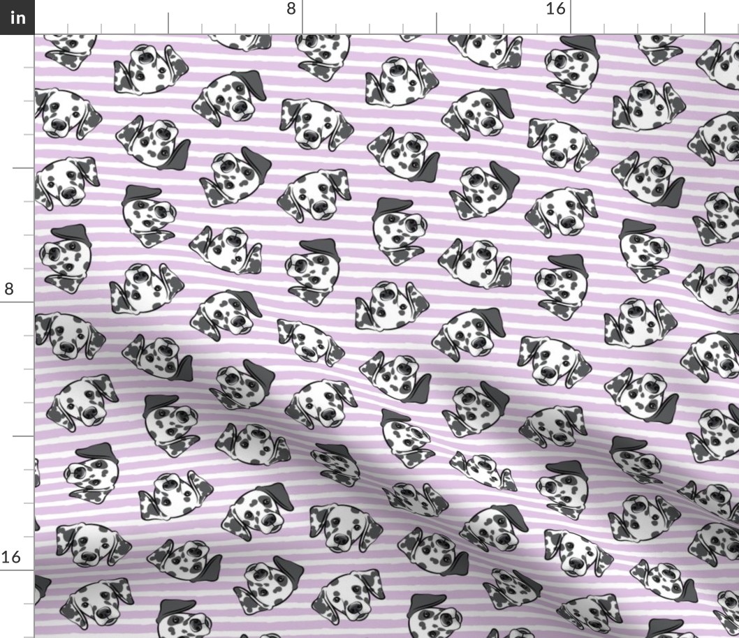Dalmatians - purple stripes - LAD19