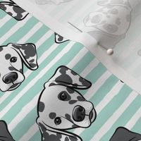 Dalmatians - aqua stripes  - LAD19