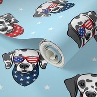 Dalmatians with bandanas and glasses - stars on blue  - LAD19