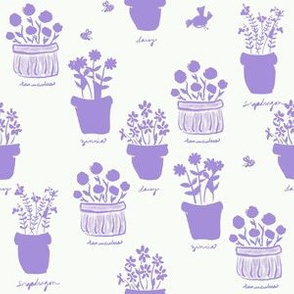 Happy Pots Sun Photo Print - Lilac