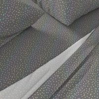 Pastel Rainbow Confetti on Grey