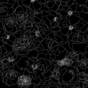 Roses - line drawing, white on black