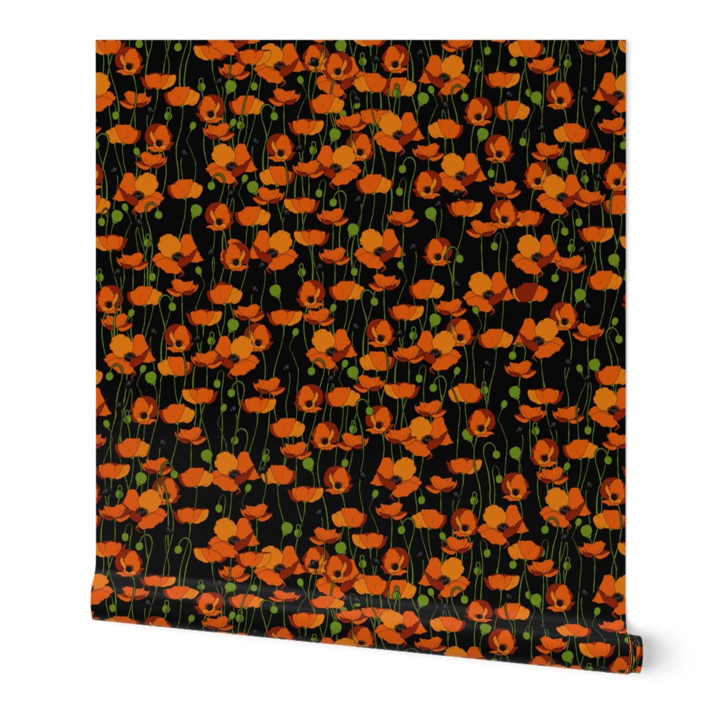 Orange poppy repeat black