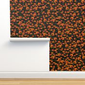 Orange poppy repeat black