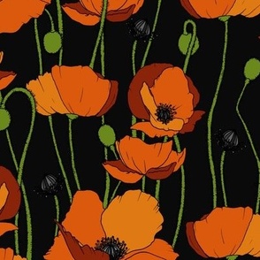 Orange poppy repeat black