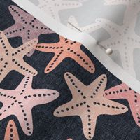 Starfish - pink on blue - summer beach nautical - LAD19