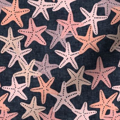 Starfish - pink on blue - summer beach nautical - LAD19