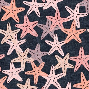 Starfish - pink on blue - summer beach nautical - LAD19