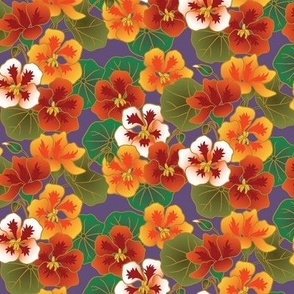 Nasturtium Garden On Violet