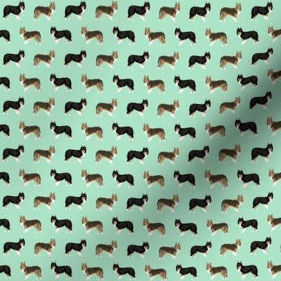 TINY - sheltie dog fabric tri colored black and tan sheltie shetland sheepdog sable and white dogs, best dog fabric