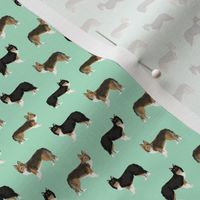 TINY - sheltie dog fabric tri colored black and tan sheltie shetland sheepdog sable and white dogs, best dog fabric