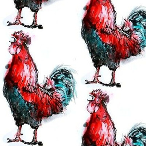 Rooster