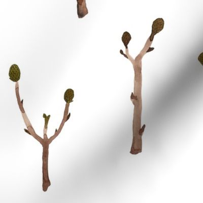 Twigs - Woodland Collection