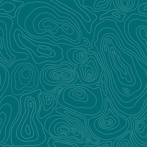 Topographic Map-Blue