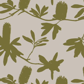 Olive Green Banksia on tan