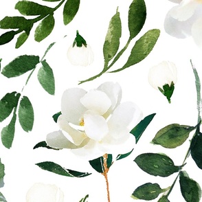 Magnolia