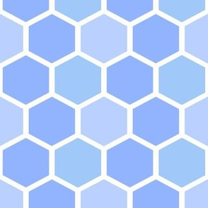 Mixed Blues Honeycomb 