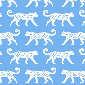 White Leopards on Blue