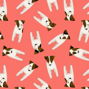 Jack Russell Terriers pattern coral