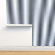 Denim Stripes . 501 Original Blue