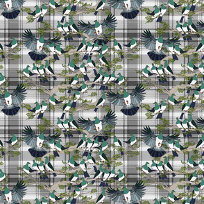 Kereru on grey plaid