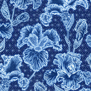 Iris Shibori 24"