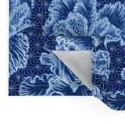 Iris Shibori