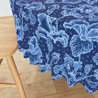 Iris Shibori