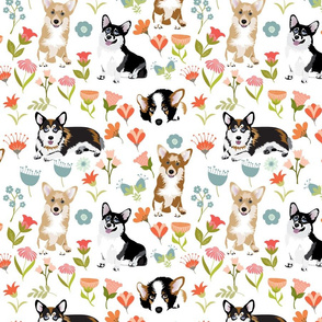 10" multicolored corgi floral fabric - dog fabric, corgi fabric, pet fabric, corgi fun fabric - white