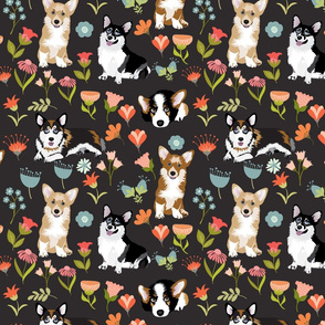 10" multicolored corgi floral fabric - dog fabric, corgi fabric, pet fabric, corgi fun fabric - dark gray