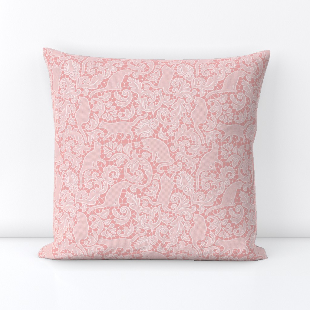 cat lace - blush, small