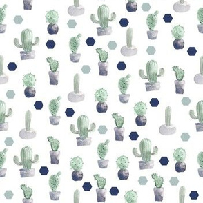 Watercolor Cactus Pot Plants Geometric