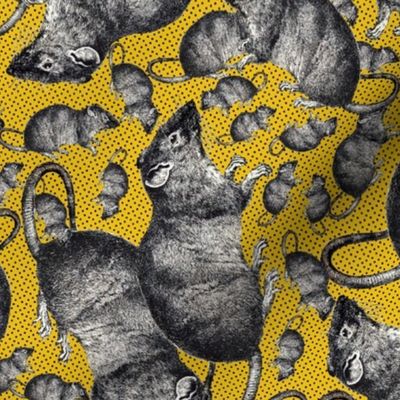 Rats on yellow background