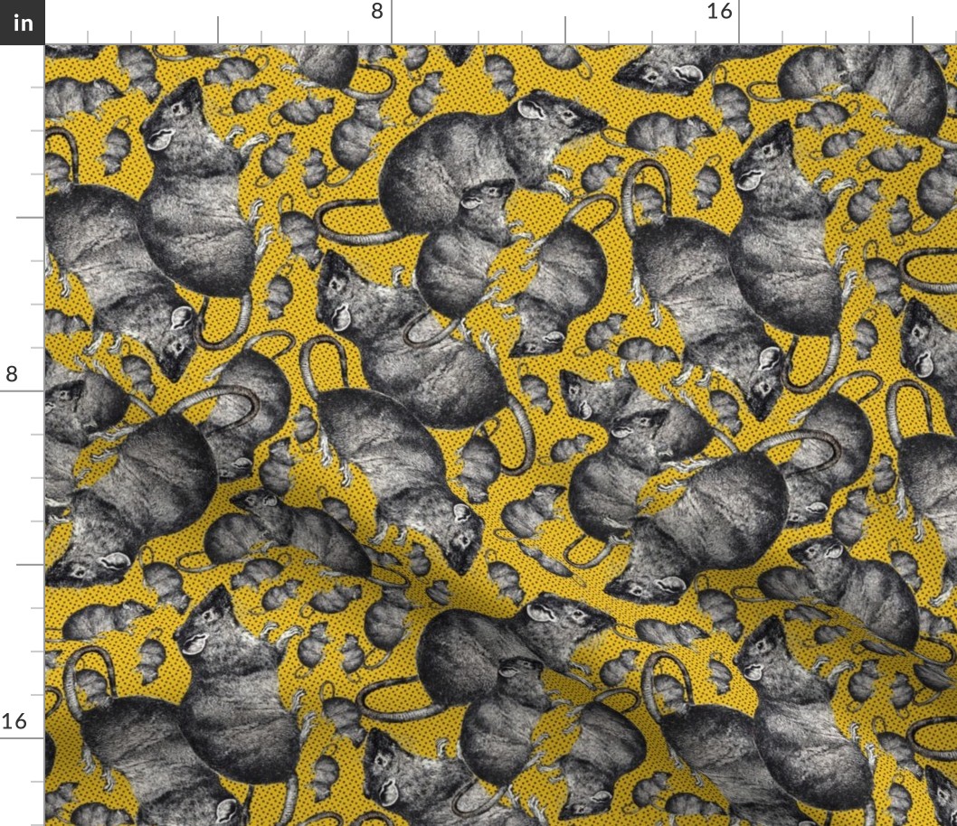 Rats on yellow background