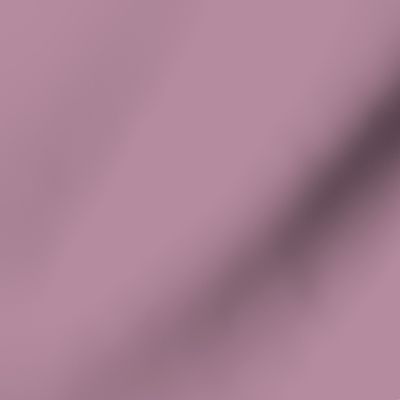 lavender solid color